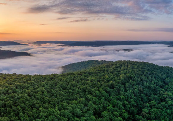 A foggy sunrise over the Arkansas Ozark Mountains - Calftail Cut on Hightway 43 near Centerpoint